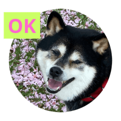 [LINEスタンプ] 桃香スタンプその1