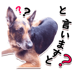 [LINEスタンプ] ジャーマンシェパードアランくんのスタンプ