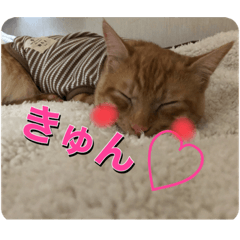 [LINEスタンプ] むぎむーの日常③