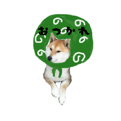 [LINEスタンプ] 柴犬ふく②