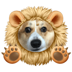 [LINEスタンプ] とらちゃまの日常