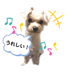 [LINEスタンプ] ひなももすたんぷ！
