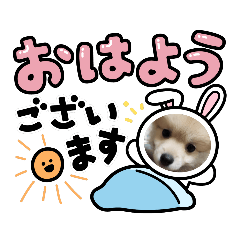 [LINEスタンプ] オリーブくん専用