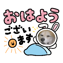 [LINEスタンプ] コーギーのミミちゃん！！！
