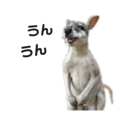 [LINEスタンプ] 動物たち❤︎