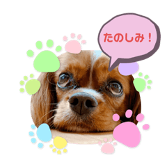 [LINEスタンプ] キャバ嬢✨りんスタンプ②