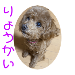 [LINEスタンプ] チワワのゆずたん(6)番外編