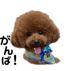 [LINEスタンプ] レノたんたん