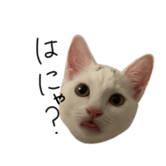 [LINEスタンプ] はなまるまるこ