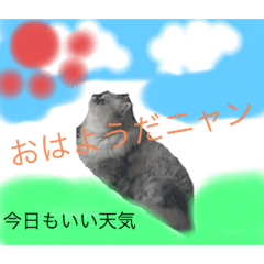 [LINEスタンプ] 可愛い猫ちゃんだろー