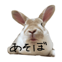 [LINEスタンプ] ガイドライン引っかかったので修正したよ。