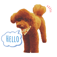 [LINEスタンプ] アンディスタンプ①