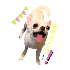 [LINEスタンプ] まるスタンプ//