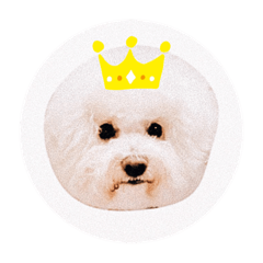 [LINEスタンプ] もこすた。