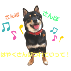 [LINEスタンプ] 黒柴犬のクロたん③