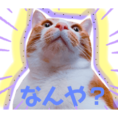 [LINEスタンプ] ピー助とゆかいななかまたち その②
