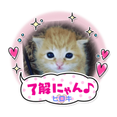 [LINEスタンプ] ヒロキだよ①