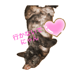 [LINEスタンプ] 黒猫のくーちゃんとはなちゃん2
