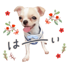 [LINEスタンプ] Heart_alu  stamp