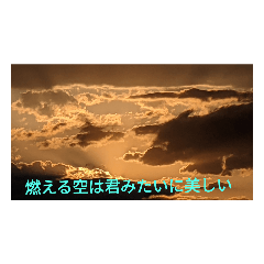 [LINEスタンプ] 今日の夕日は君みたいに美しいよ！おんっ♪