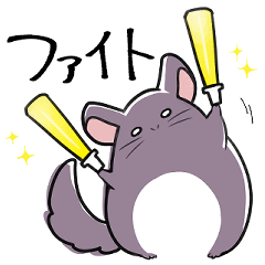 [LINEスタンプ] おデブなチンチラ！デブチラちゃん！