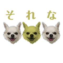 [LINEスタンプ] レオンくんスタンプ③