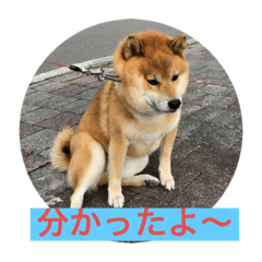 [LINEスタンプ] ほのぼの元気くん6️⃣