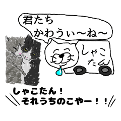 [LINEスタンプ] しゃこたんねこ