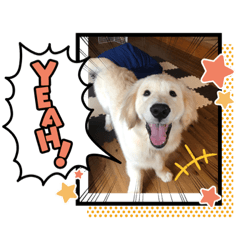 [LINEスタンプ] Buddykun