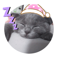 [LINEスタンプ] 晴日くんです