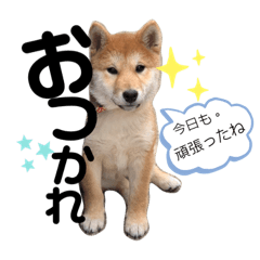 [LINEスタンプ] はるろんスタンプ