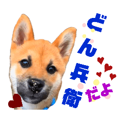 [LINEスタンプ] DonBE-1
