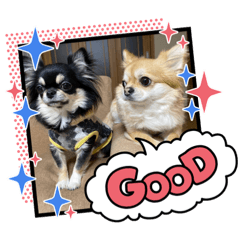 [LINEスタンプ] ひまとたん