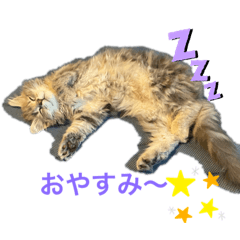 [LINEスタンプ] サイベリアン♡Kelly♡saiberian