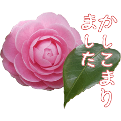[LINEスタンプ] ＜敬語で挨拶＞お花のスタンプ