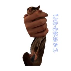 [LINEスタンプ] Smomochan