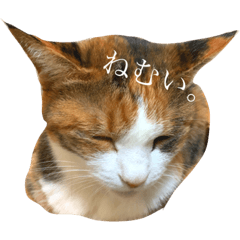 [LINEスタンプ] なかむらなな
