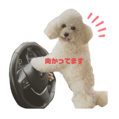 [LINEスタンプ] マロスタ1