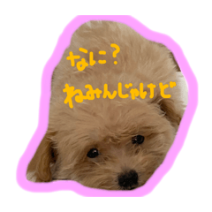 [LINEスタンプ] 愛犬ロイロイ
