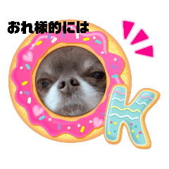 [LINEスタンプ] まいにちリッキー。