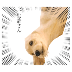 [LINEスタンプ] 絶対に使い道のないスタンプ