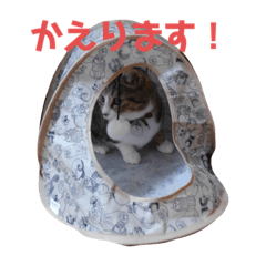 [LINEスタンプ] 天真爛漫ランのスタンプ