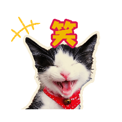 [LINEスタンプ] ぶっさんスタンプ(幼少期)