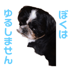 [LINEスタンプ] あんのん日常