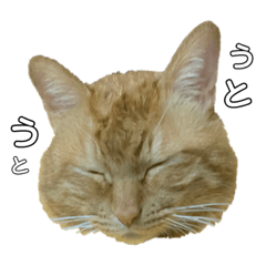 [LINEスタンプ] 大天使テトくん