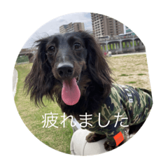 [LINEスタンプ] chevy君