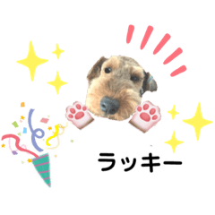 [LINEスタンプ] ウェルシュテリア ♡ジェリーさんの1日⑩