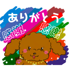 [LINEスタンプ] プードルショコちゃん