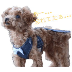 [LINEスタンプ] ときどきロイくん