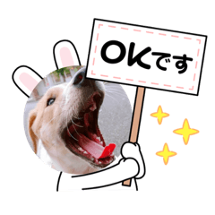 [LINEスタンプ] taiyuuu！！！！